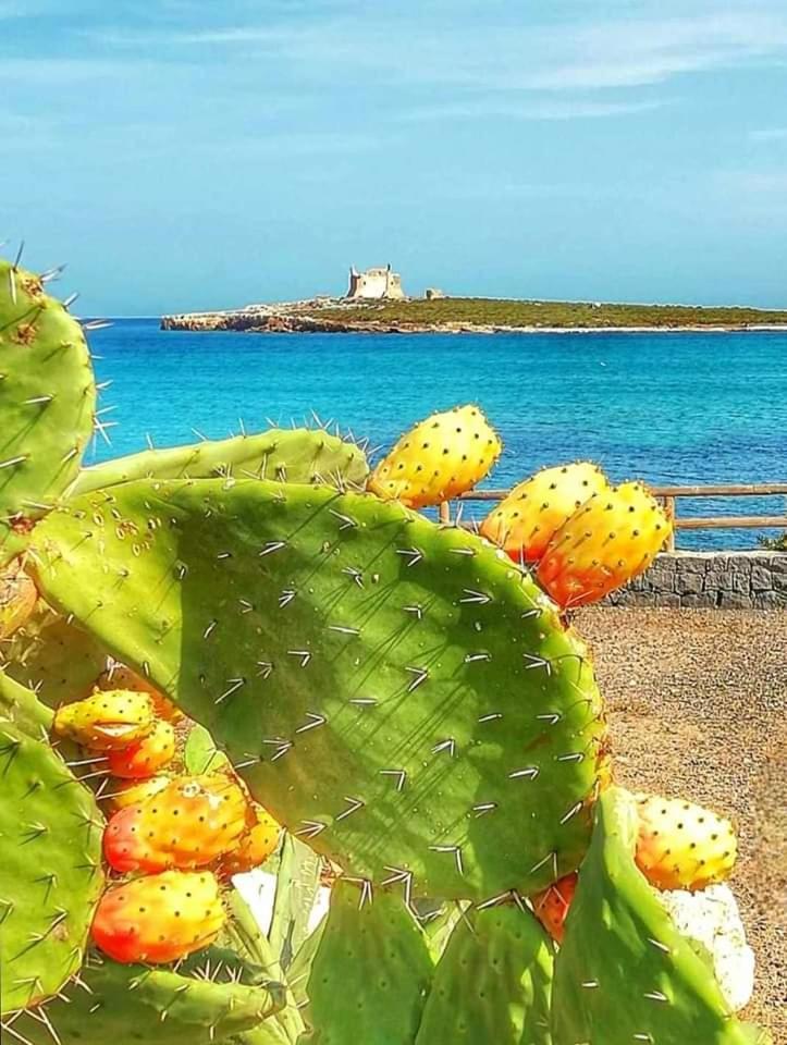 Casa Guttuso 1 Villa Portopalo Di Capo Passero Buitenkant foto